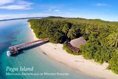 Discoveries Pagai Island, Sumatra, Indonesia 13_2