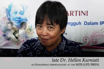 Discoveries Dr. Hellen Kurniati 35_2