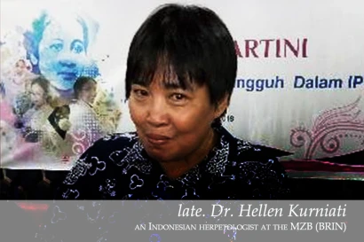 Discoveries late. Dr. Hellen Kurniati 35_2