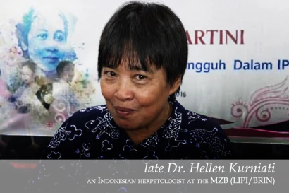 Discoveries Dr. Hellen Kurniati 35_2