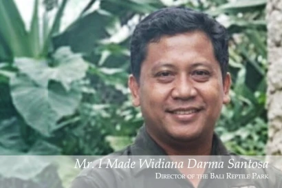 Discoveries I Made Widiana Darma Santosa 36_2