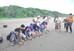 Photo Gallery releasing turtles back to the ocean 47152_428631324406_4725512_n