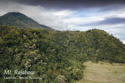 Discoveries Mt. Rajabasa, Sumatra, Indonesia 4_2