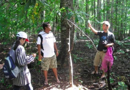 Photo Gallery filed work in East Java, Indonesia 59109_428621004406_1179304_n