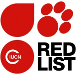 Volunteer Services 5