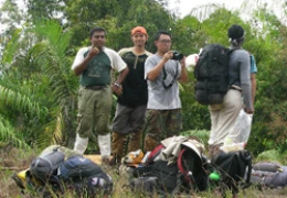 Photo Gallery field work in Sabah, Malaysia malaysia_7