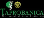 Volunteer Services 4