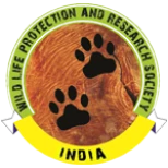 Collaborative Institutes 9