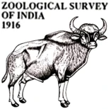 Collaborative Institutes 7